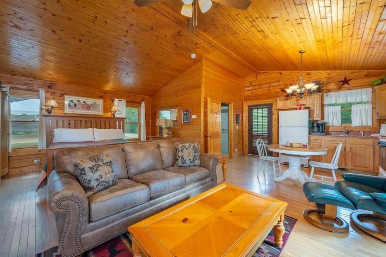 Log Cabin Stunning Mountain Views On 12 Acres Candler Dış mekan fotoğraf