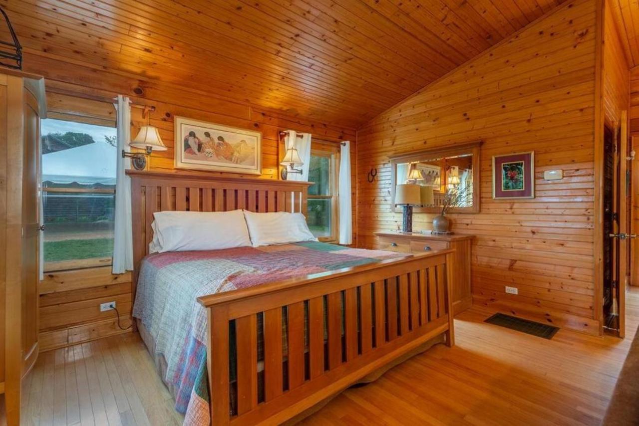 Log Cabin Stunning Mountain Views On 12 Acres Candler Dış mekan fotoğraf