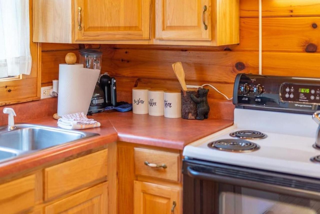 Log Cabin Stunning Mountain Views On 12 Acres Candler Dış mekan fotoğraf