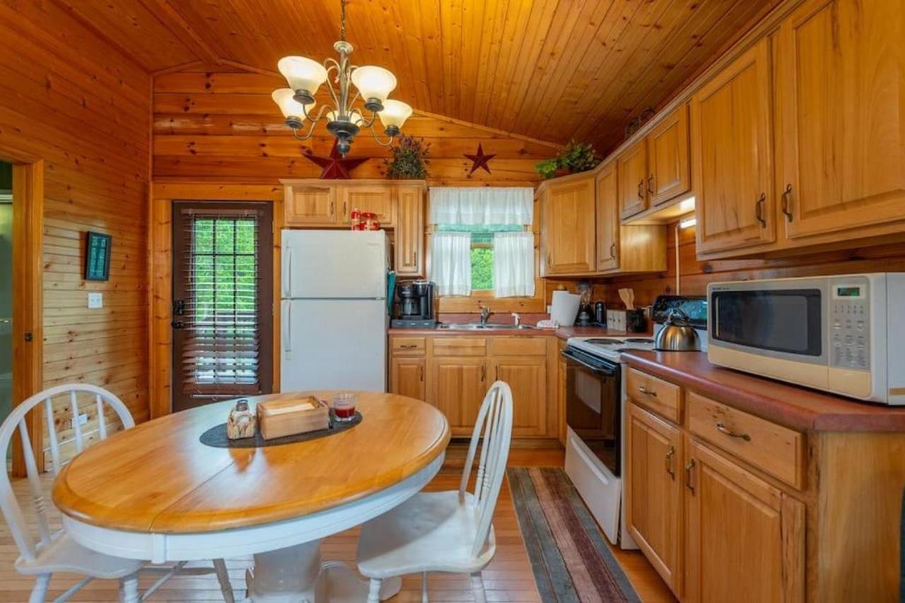 Log Cabin Stunning Mountain Views On 12 Acres Candler Dış mekan fotoğraf