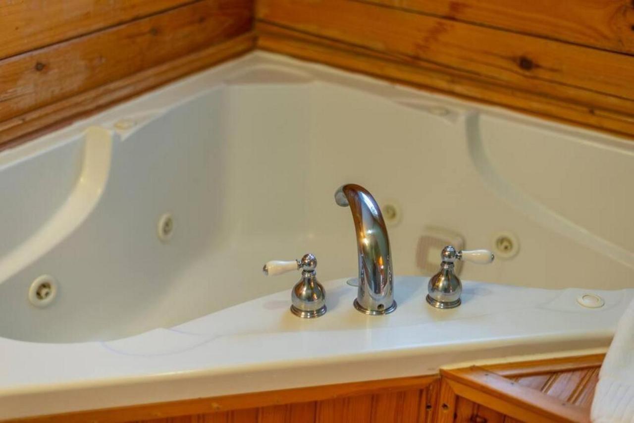 Log Cabin Stunning Mountain Views On 12 Acres Candler Dış mekan fotoğraf