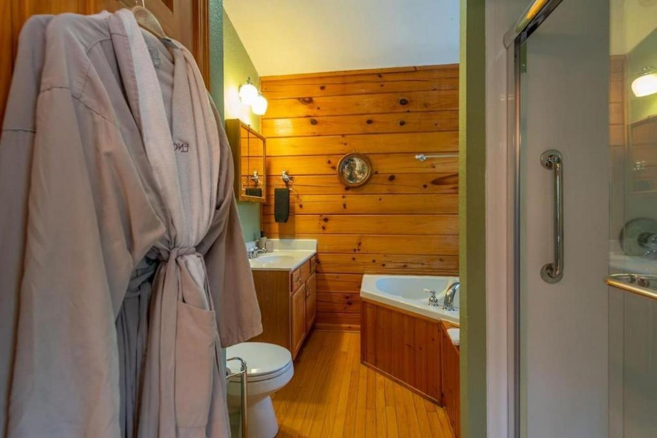 Log Cabin Stunning Mountain Views On 12 Acres Candler Dış mekan fotoğraf