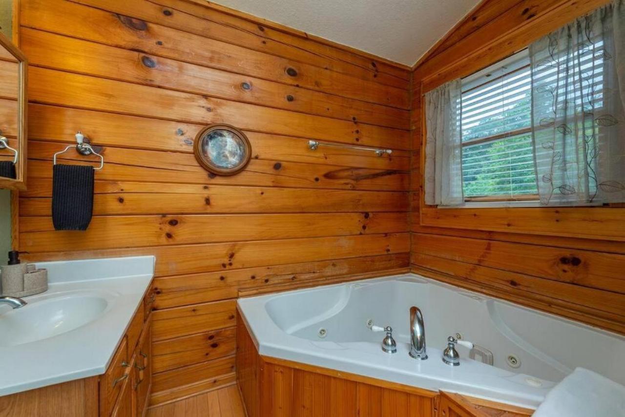 Log Cabin Stunning Mountain Views On 12 Acres Candler Dış mekan fotoğraf